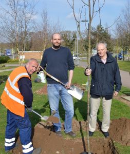 Tree planting