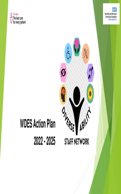 Workforce Disability Equality Action Plan 2022 – 2025  2022 – 2025