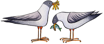 Jenny Lind gulls 5
